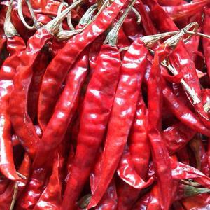 Quality Food Additive Dried Red Chilies Paprika Peppers 16% Moisture Smoky And Sweet wholesale