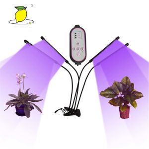 China 5V USB Plant Grow Light Full Spectrum Phyto Lamp on sale