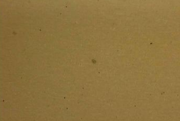 White Adhesive Paper for SMT Surface Cleaning machine to collect dusts on PCB
