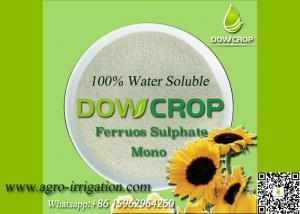Quality DOWCROP HIGH QUALITY 100% WATER SOLUBLE MONO SULPHATE FERROUS 30% LIGHT GREEN POWDER MICRO NUTRIENTS FERTILIZER wholesale