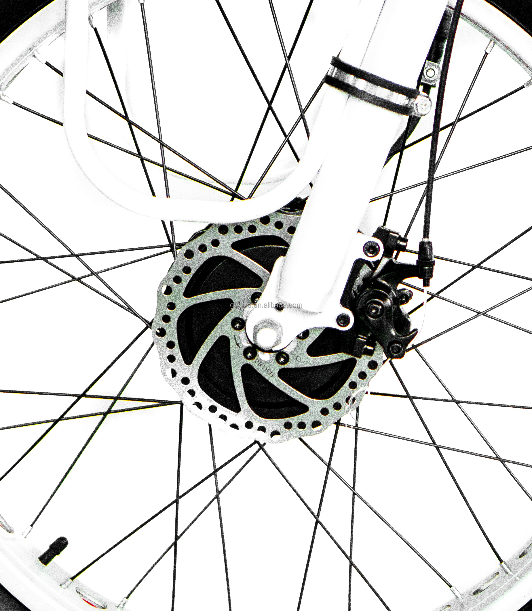48V 14AH Rear Basket 4.0 Snow Tire Electric Cargo Tricycle with USA CE Certification