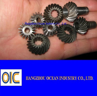 Spiral Bevel Gear and Shaft
