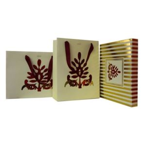 Stand Up Printed Paper Bags Paper Takeaway Bags Multi Function