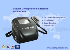 Quality Portable cryolipolysis fat freeze home cryolipolysis liposuction machine wholesale