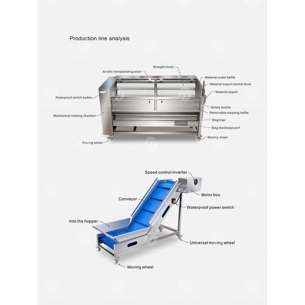Stainless Steel Fruit And Vegetable Processing Line Brush Cleaning And Hoisting
