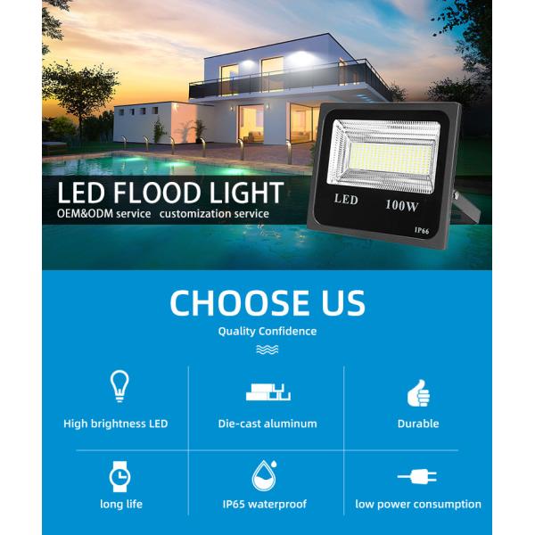 Marine Dimmable Smart RGB LED Floodlight 10W 30W 50W 200W Projector LED Flood Lamp