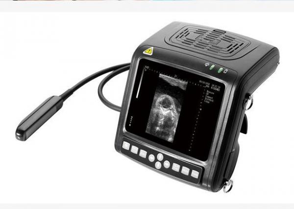 Cheap B / W Palm Ultrasound Scanner Animal Ultrasound Scanner Using for Checking Mare and Confirming Pregnancy for sale