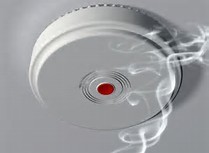 Riser-Rated Fire Alarm Cable 22AWG Solid Copper UL FPLR-CL2R Red PVC Jacket