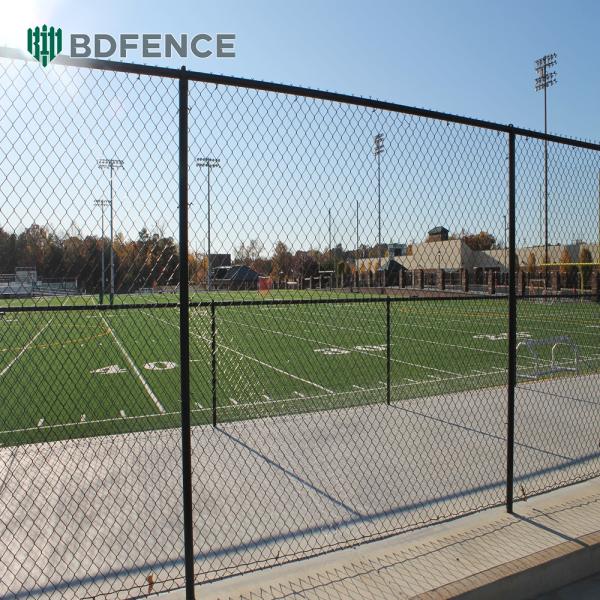 Sports Field 48 Inch Chain Link Fence With Ball-Stop Netting