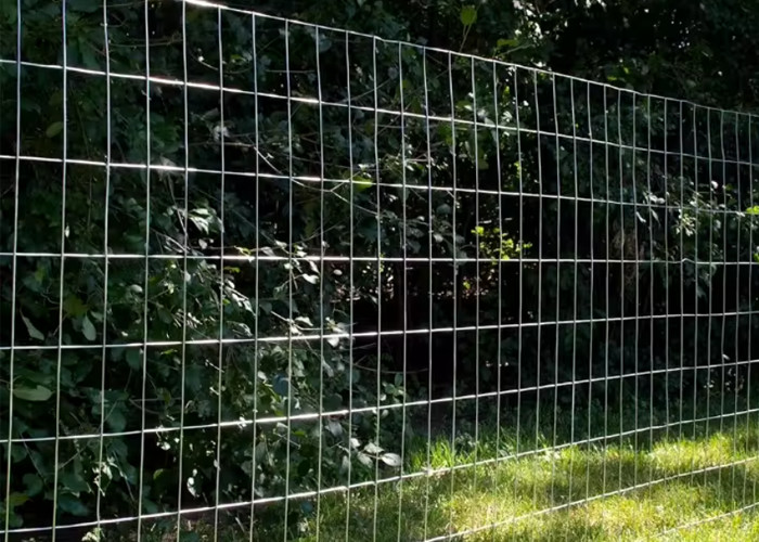 Long Hole Shape 8x8 Welded Wire Mesh For Customized Sale Of Actuals