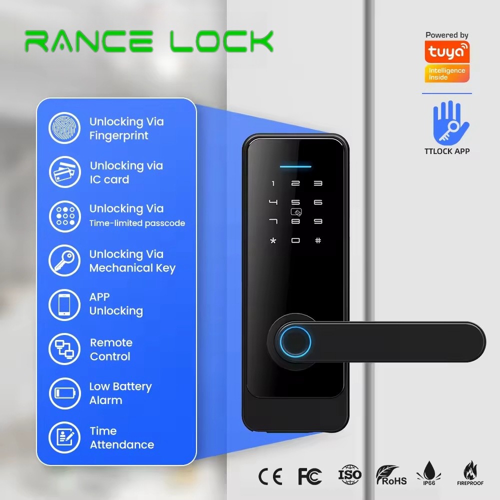 Electronic Wifi Home Door Lock C89 Biometric Entry Door Lock Keyless