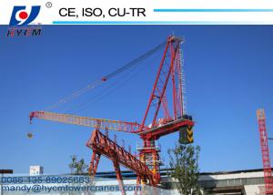 Quality 1250KN.m Fixed Jib Crane 50m Tower Crane Boom Length D5020 Luffing Jib Crane with Tower Crane Climbing Cage wholesale