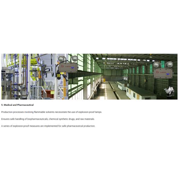 High Performance Emergency LED Light 110lm/W 10W Explosion-Proof Lithium Battery Long Lifespan IP66 Rated Hazardous Gas for Dust Environments