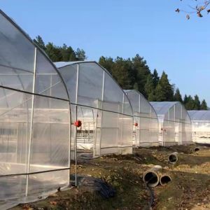 Vegetables Plant Polyethylene Film Greenhouse With Cooling System Easy Install