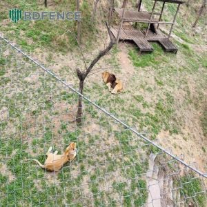 Nature Reserve Chain Link Fence Wildlife