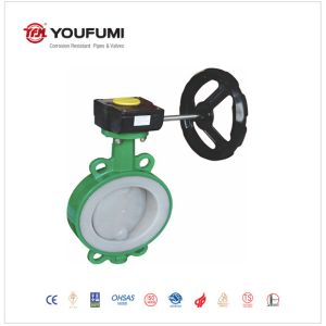 DIN Standard PTFE Lined Butterfly Valve