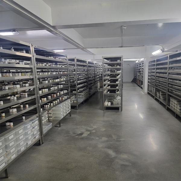 Long Lasting Soap Fragrances Natural Sage Fragrance 1.5% Add Ratio With Hrabal Extract