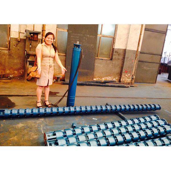Deep Well Water High Head Submersible Pumps Vertical Submersible Pump 2900r/Min Speed