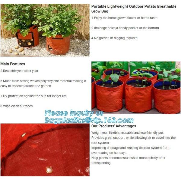 customized waterproof green pe car protector,environmental firendly, car boot liner, reusable, durable,economical,sample