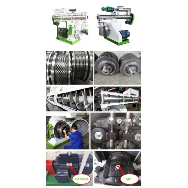 Cattle Feed Manufacturing Machine Feed Granule Making Machine For Poultry