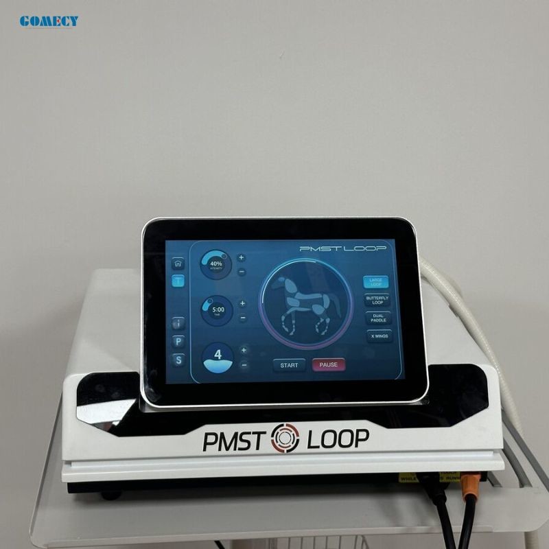 Gomecy PMST LOOP PEMF Therapy Device for Back Neck Joint and Tendon Conditions with Lasting Effects