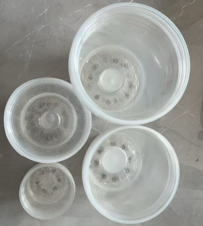 Transparent Phalaenopsis flower pot