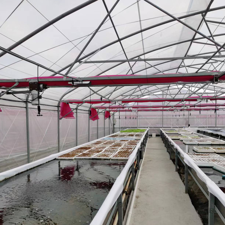 Film Covered Greenhouse Hydroponics System Agricultural DWC Hydroponics System