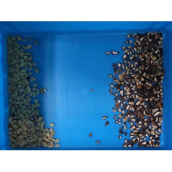 Most Popular 10 Chute Almond Color Sorter Cashew Nut Sorting Machine Nut Processing Machinery