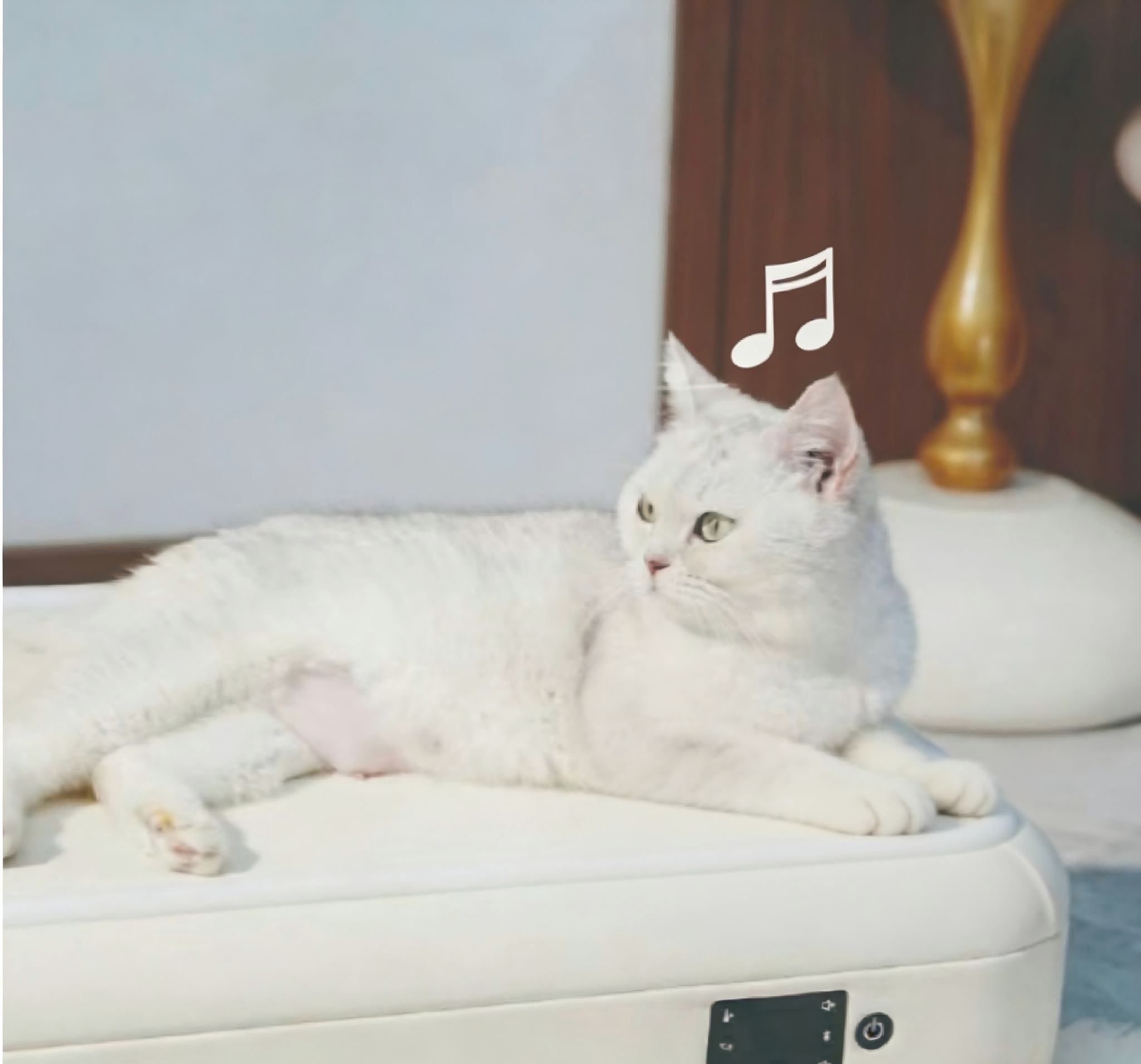 Smart Wool Pet Mat with LED Lights Music Player Temperature Control Removable & Washable Soft Cushion for Cats