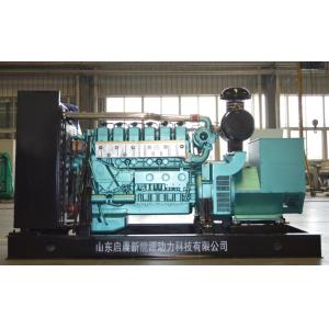 250kw Biogas CPG Generator Water Cooling OEM ODM Service