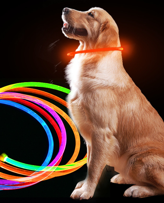 USB Rechargeable LED Flashing Dog Collar Light Up Puppy Flashing Collar