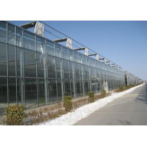 Quality Hollow PC Sheet Greenhouse , Venlo Style Greenhouse Long Service Life wholesale