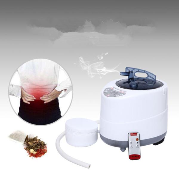 2 Liter Modern Portable Sauna Steam Pot Generator For Home Steam Saunas Spa Machine For Body Detox Weight Loss US EU Plug