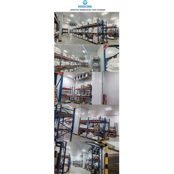 -60c Frozen Tuna Blast Freezer Deep Cold Room for Sale