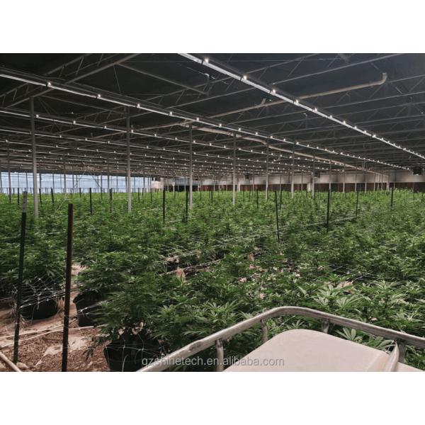 Large Film Greenhouse Farming Fully Automated Light Deprivation System For Agriculture