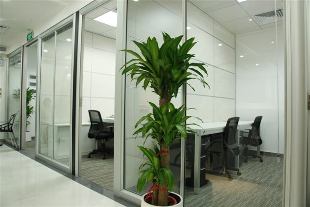Shenzhen Okystar Technology Co., Ltd.