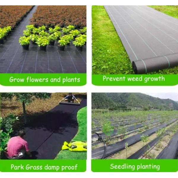 100% Polypropylene Agriculture Non Woven Fabric Weed Control Ground Cover Net Mesh Cloth