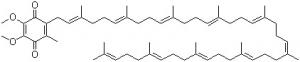 Quality Ubiquinone 10(CAS NO.:38336-04-8),Ubidecarenone,Coenzyme Q10 wholesale