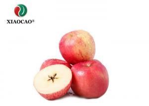 China Organic Spray Freeze Dried Powder Apple Juice Concentrate Powder Apple Flavor Powder on sale