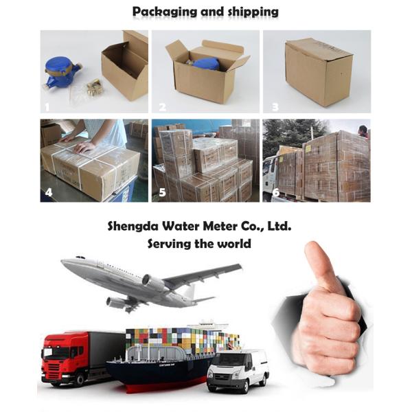 DN15 Multi Jet Wet or Dry Type Water Meter Manufacture