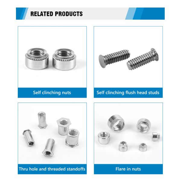 M5 M6 M8 M10 Zinc-Plated Carbon Steel Press Rivet Nut 304 Stainless Steel Self Clinching Nut Sheet Metal Lock Nut Zinc-Plated