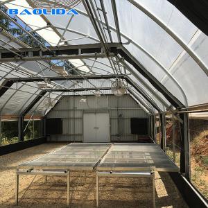 Quality Commercial Automated Blackout Greenhouse Poly Tunnel Light Deprivation wholesale