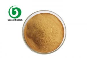 Quality 2.5% 8% Triterpene Glycosides Black Cohosh Extract Powder wholesale