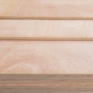 Birch 18mm Marine Plywood Sheets Modern 25mm Marine Plywood Custom