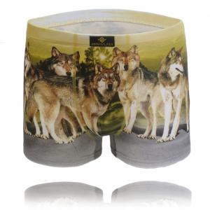 China Wholesale Men Underwears Boxers Penis sports compression underwear Underpants Modal Cotton on sale