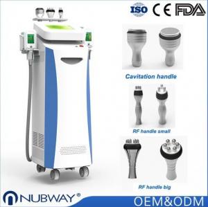 China September Promotion Safe Cryolipolysis Slimming Machine 10.4 Inch For Fat Reduction on sale