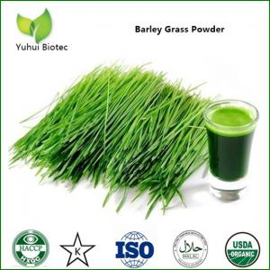 Quality Barley Grass Powder,organic barley grass powder,barley grass juice powder wholesale