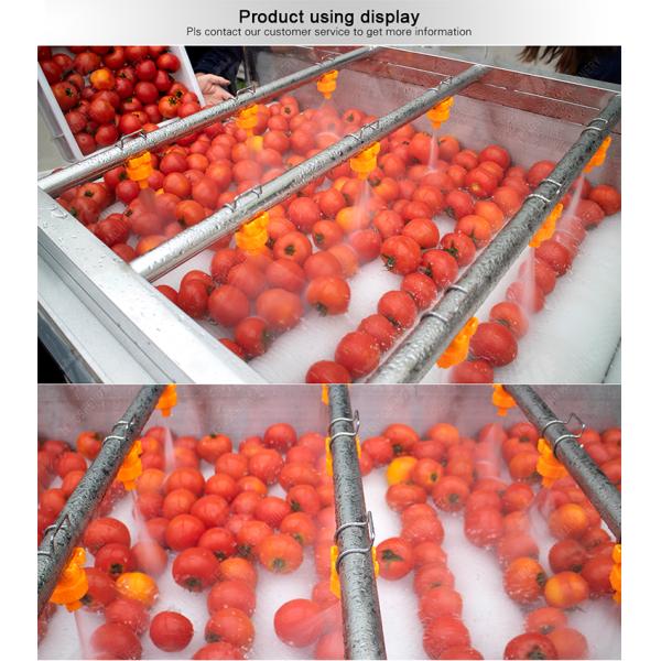 SS 380V Industrial Vegetable And Fruit Washing Machine