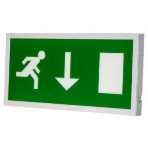 Quality LED recessed emergency exit light wholesale