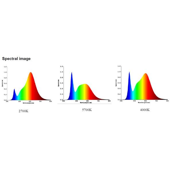 Flicker Free SMD LED Module 28W Wifi Control Dual Color Led Ceiling Lamp